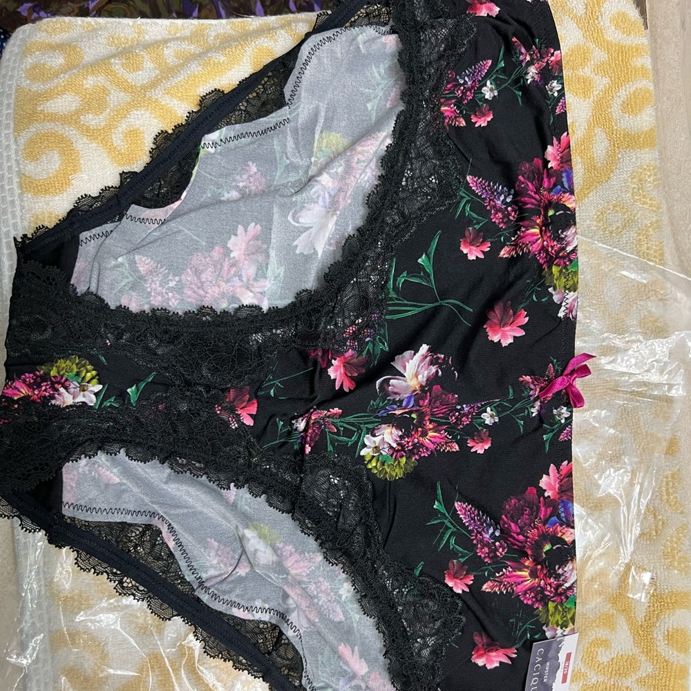 NWT Cacique Seriously Sexy Hipster (2 pair) 18/20